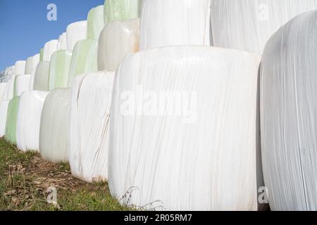 Wraped and stacked hay bales on the grass with blue sky in background Stock Photo