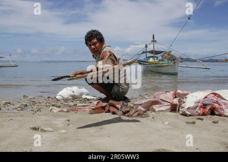 Fishermen on Batuwingkung Island, North Sulawesi, Indonesia are slicing shark fins and shark meat that they have just caught. Stock Photo