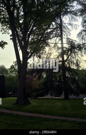 Lawn in the middle of trees bordered in the distance by a brick wall in ...