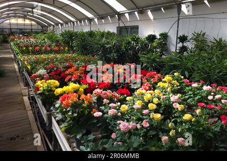 Garden center in Mijas, Málaga, Spain. Stock Photo