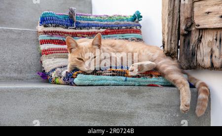 Felis catus domesticus cat half sleeps on textile pillow. Outdoors portrait of red and white kitty that lays down on stair, Cyclades island, Greece. Stock Photo