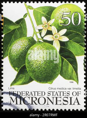 Close up of limes on postage stamp of Micronesia Stock Photo