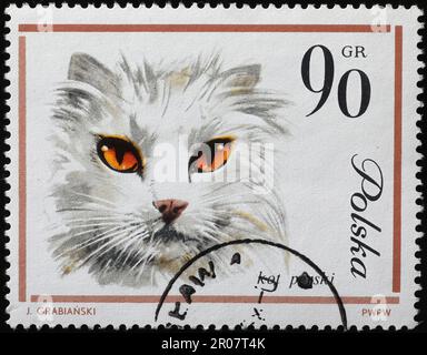Tabby cat on polish postage stamp Stock Photo