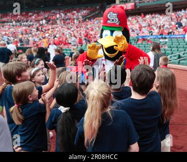 St. Louis Cardinals mascot Fredbird, top, high-fives a group of elementary  school children after they sang the national anthem prior to a baseball  game between the Cardinals and the Detroit Tigers, Sunday, May 7, 2023, in  St. Louis. (AP Photo/Tom Gann