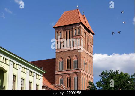 Tower of ancient St. James church (Kosciol pw. sw. Jakuba) in Torun, Poland from red bricks Stock Photo