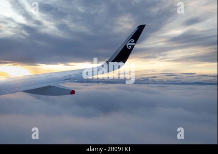 Wellington, New Zealand - April 20, 2023: A close up view of an Air New Zealand wing with it's iconic flying through the sky on a trip from Wellington Stock Photo