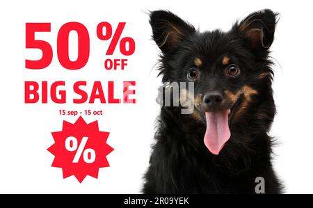 Pet shop discount shop