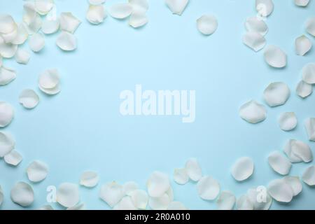 Beautiful white rose flower petals on light blue background, flat lay. Space for text Stock Photo