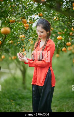 Sa Dec city, VietNam: Western girl portrait in ripe tangerine garden Stock Photo