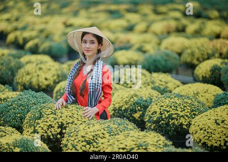 January 8, 2023: portrait of a beautiful Vietnamese girl in the raspberry chrysanthemum garden in Sa Dec city Stock Photo