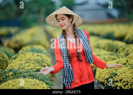 January 8, 2023: portrait of a beautiful Vietnamese girl in the raspberry chrysanthemum garden in Sa Dec city Stock Photo