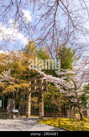 Kyoto, Japan - March 27, 2023: Blooming Sakura in Adashino Nenbutsu-ji Temple in Kyoto, Japan Stock Photo