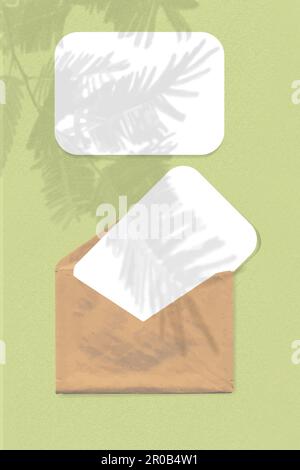 An envelope with two sheets of white paper on green background. Mock up with an overlay of plant shadows. Natural light casts shadows from the tui bra Stock Vector
