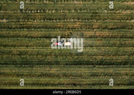 Aerial view of agricultural tractor with crop sprayer applying insecticide in apple fruit orchard, top view Stock Photo