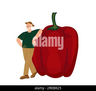 Happy Retired Aged person grown up huge sweet bell pepper.Vegetarian man with big fresh vegetables.Old Tiny Farmer with ripe raw veggie harvest. Flat Stock Photo