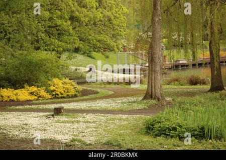Hanley Park in Stoke-on-Trent Stock Photo