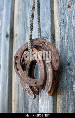 Close-up of rusty horseshoes hanging on wooden wall in barn, Bavaria, Germany Stock Photo