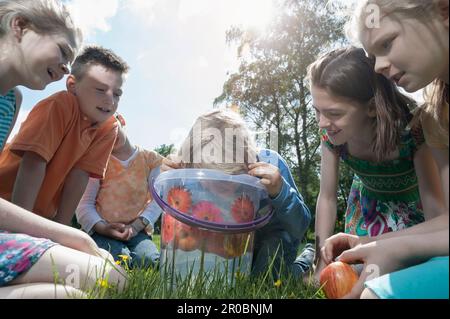 Boy trying to take apple out of a bucket with their mouth, Munich, Bavaria, Germany Stock Photo