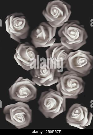 White faux roses on black background Stock Photo