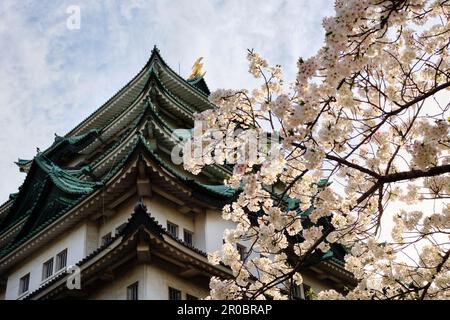 Nagoya Castle on a cloudy, spring day Stock Photo