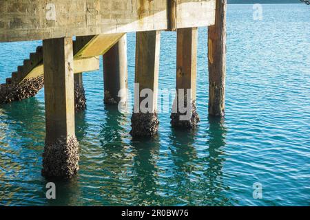 A wooden pier extending into a large body of water, Jetty on Palm Island, Far North Queensland Stock Photo