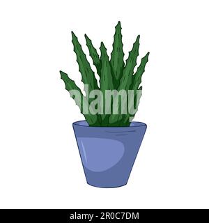 Hand drawn cute summer illustration of growing aloe vera in pot.Flat vector home plant Isolated on white background. Stock Vector