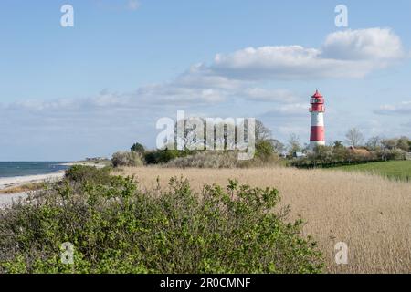 Falshöft lighthouse on the Baltic Sea, Schleswig-Holstein, Germany Stock Photo