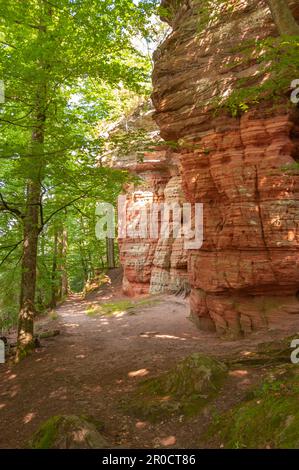 Natural monument Altschlossfelsen, Eppenbrunn, Palatinate, Rhineland-Palatinate, Germany, Europe Stock Photo