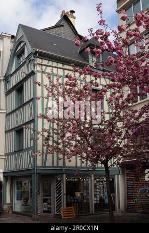 Rouen, France: spring pink cherry blossom brightens a green and cream half-timbered medieval house in the historic city centre. Stock Photo