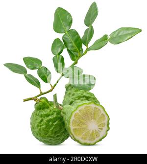 Bergamot fruits isolated on white background Stock Photo