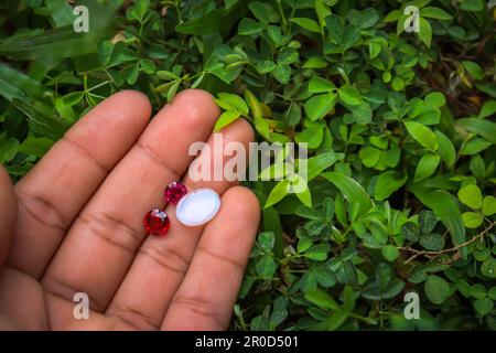 Gem on hand green grass background natural Stock Photo