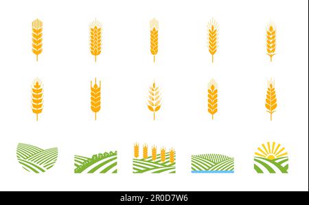 Spikes of wheat, rye, barley. Arable fields, agriculture industry. Crops farm, food market or agriculture company vector sign, craft beer brewery symb Stock Vector