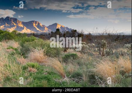 Sunset Outside of Tucson Arizona Stock Photo