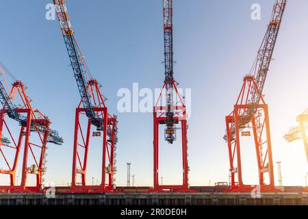 Scenic view row big cargo container ship loading Hamburg city port harbour seaport cranes at warm morning sunrise light sky. Global commercial trade Stock Photo