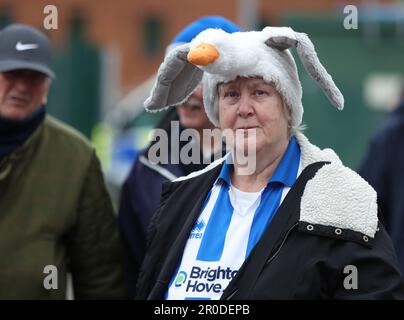 Brighton and Hove, UK. 8th May, 2023. A Brighton and Hove Albion fan wearing a seagull hat outside the stadium before the Premier League match at the AMEX Stadium, Brighton and Hove. Picture credit should read: Paul Terry/Sportimage Credit: Sportimage Ltd/Alamy Live News Stock Photo