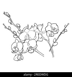 Vector graphics. Linear freehand drawing of orchid flowers. From the HAIR JEWELRY collection. For the design of websites, business cards, labels, invitations, printing posters on textiles and dishes. Vector illustration Stock Vector