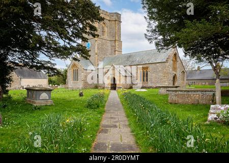 Pathway lined with yellow buttercups and daffodils leading to the Church of St Mary in the village of Burton Bradstock, Dorset, UK on 5 May 2023 Stock Photo