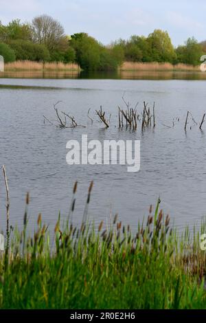 Lake area around Cirencester Cotswolds Stock Photo
