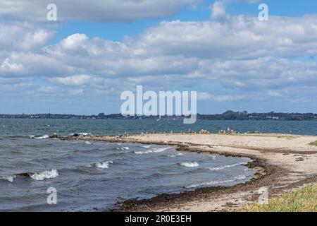 Most Northern point of the German mainland in view of Denmark, Baltic Sea, Holnis Peninsula, Schleswig-Holstein, Germany Stock Photo