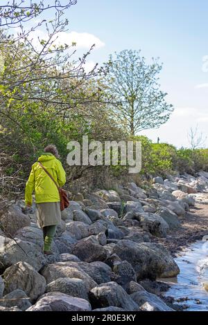 Elderly woman climbing along rocks of the shoreline stabilisation, Northern coast, Holnis Peninsula, Schleswig-Holstein, Germany Stock Photo