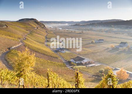 The River Mosel near Kesten, Rhineland Palatinate, Germany Stock Photo