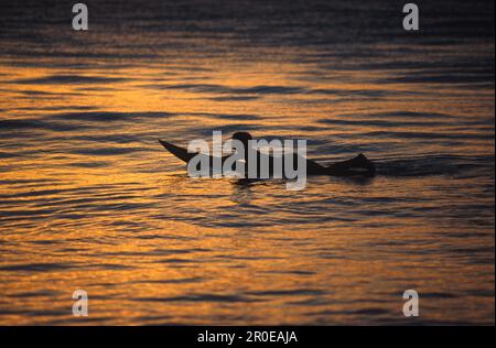 Urlaub Stock Photo