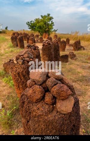 Unesco site Senegambian stone circles, Wassu, Gambia Stock Photo