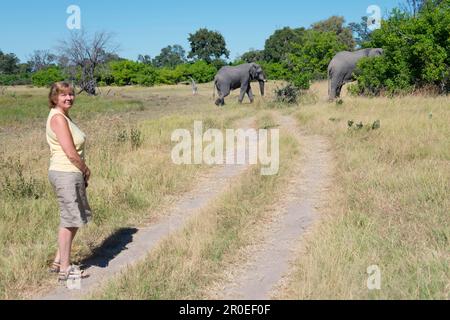 African elephant (Loxodonta africana), Khwai river area near Mababe Village, elephants, Botswana Stock Photo