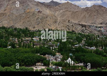 Leh with Tsemo Fort and Tsemo Gompa, Ladakh, Jammu and Kashmir, India Stock Photo