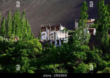 Alchi, Ladakh, Jammu and Kashmir, India Stock Photo