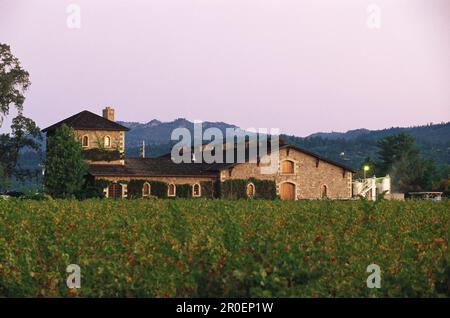 Sattui V. winery behind vineyard, Napa Valley, California, USA, America Stock Photo