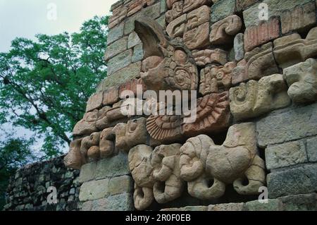 Maya ruins of Copán, Ballcourt, Principal Group, Honduras, Central America, America Stock Photo
