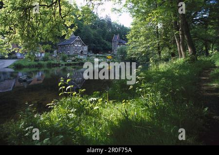 Treseburg by River Bode, Sachsen Anhalt, Germany Stock Photo