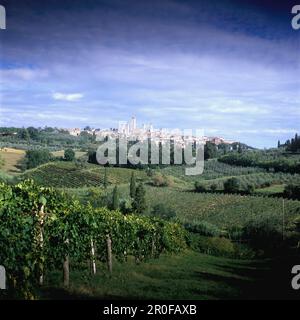 View over vineyards at San Gimignano, Tuscany, Italy Stock Photo